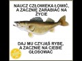 Wędka