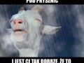 Gdy wchodzisz pod prysznic