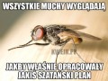 Muchy