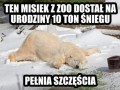 Pełnia szczęścia