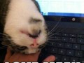 Love meee