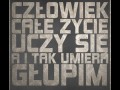 Ciągła nauka