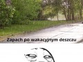 Po deszczu