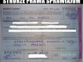 Ortografia polskich policjantów
