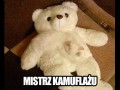 Mistrz kamuflażu