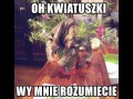 Kwiatuszki