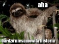 Bardzo niesamowita historia