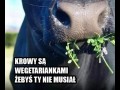 Podziękuj im