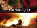 Mój chomik