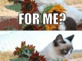 To dla mnie