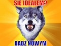 Wilk  motywator