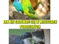 Krótki kurs całowania się w miejscach publicznych