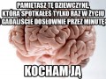 Dzięki mózgu