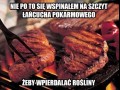 To by było wbrew naturze