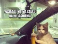 Wsiadaj nie gadaj