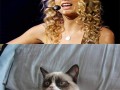 Grumpy cat 4