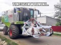 Rumuńskie wesele
