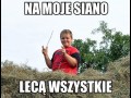 Moje siano