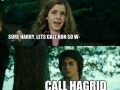 Call hagrid