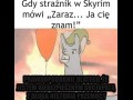 Skyrim  lamy w czapkach