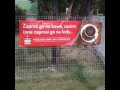 Kiedyś to facet zapraszał na kawę