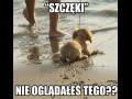 Za dużo filmów