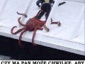 Cthulhowy