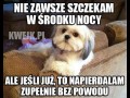 Nie zawsze szczekam