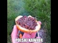 Kawior
