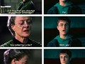 Profesor mcgonagall rządzi
