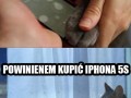 Telefon dla kota