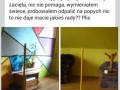 Miotła