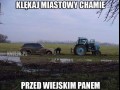 Klękaj miastowy chamie
