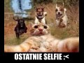 Ostatnie selfie