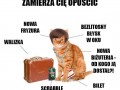 Przydatne info
