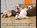 Etapy wstawania z łóżka