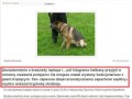 Pół kilo kiełbasy