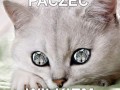 Paczeć wilkiem