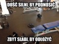 Typowa pakiernia