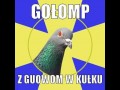 Gołomp