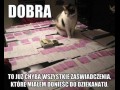 To już chyba wszystko