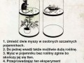 Interesujący eksperyment