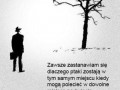 Ptaki