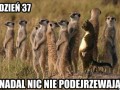 Nikt go nie zauważył