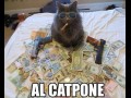 Al catpone