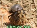 Grunt to zadowolenie