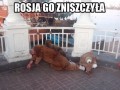 Rosja go pokonała
