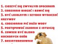 Naucz się od psa