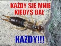 Strach dzieciństwa