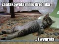 Nagły atak drzemki